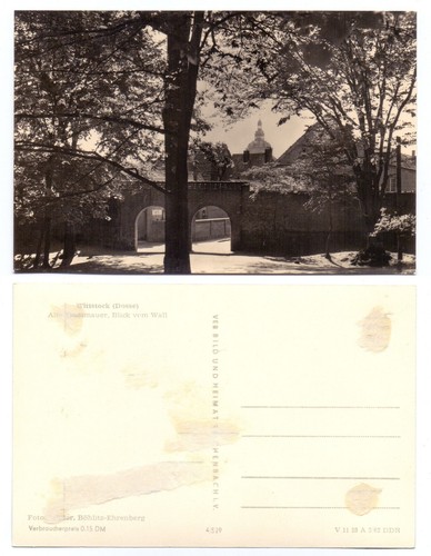 103341 wittstock - 103341,