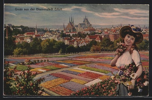 Erfurt ansichtskarte - erfurt,,